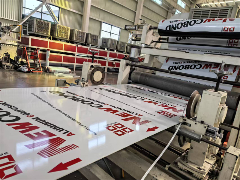 Company Actual Scenes